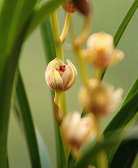 照片 070_副本.jpg