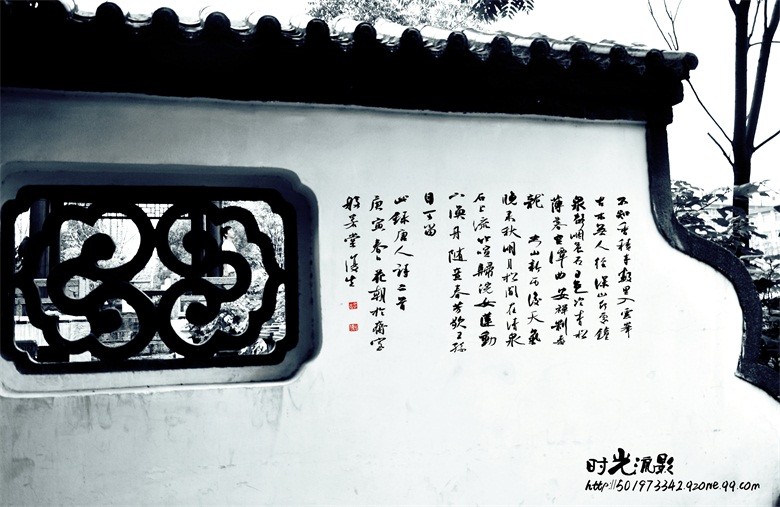 LNP_4206 副本.jpg