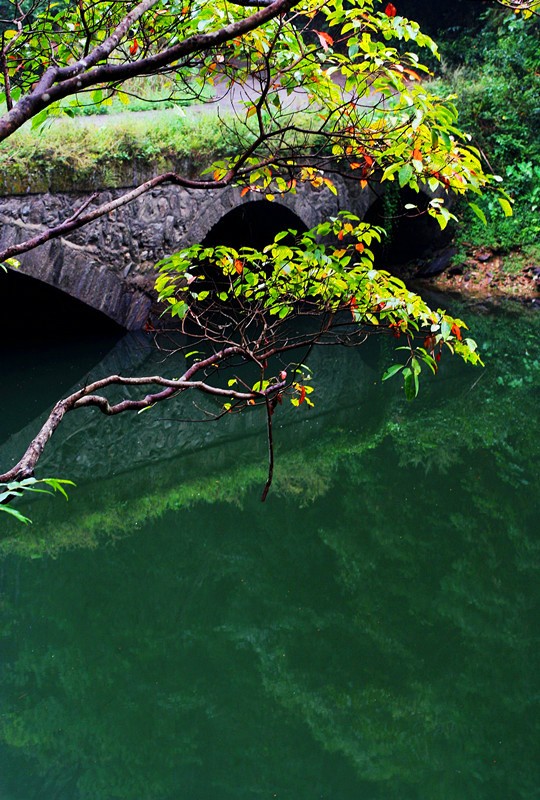 照片 121_副本.jpg