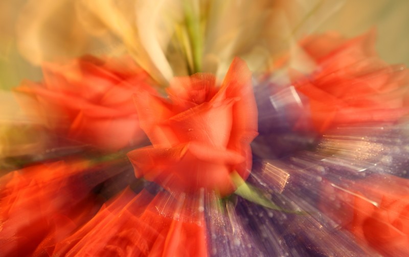 DPP_0024.JPG