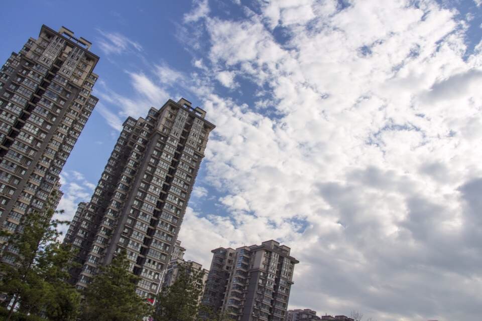 2014-10-17 122046.jpg