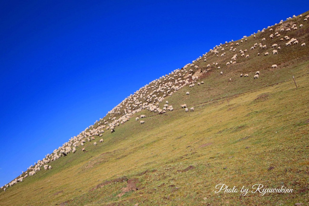 2014-10-17 123514.jpg