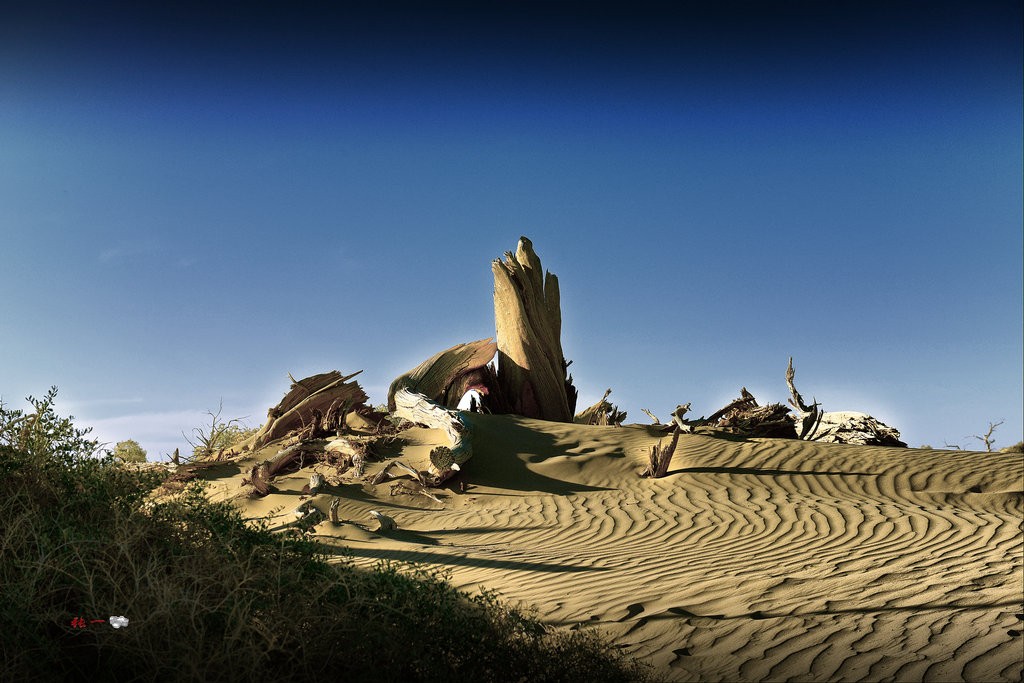 ZJF_5192.JPG