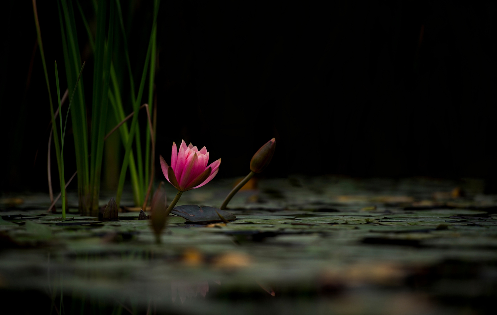 DSC_8625_副本_副本.jpg