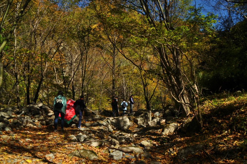 DSC_0095_conew1.jpg