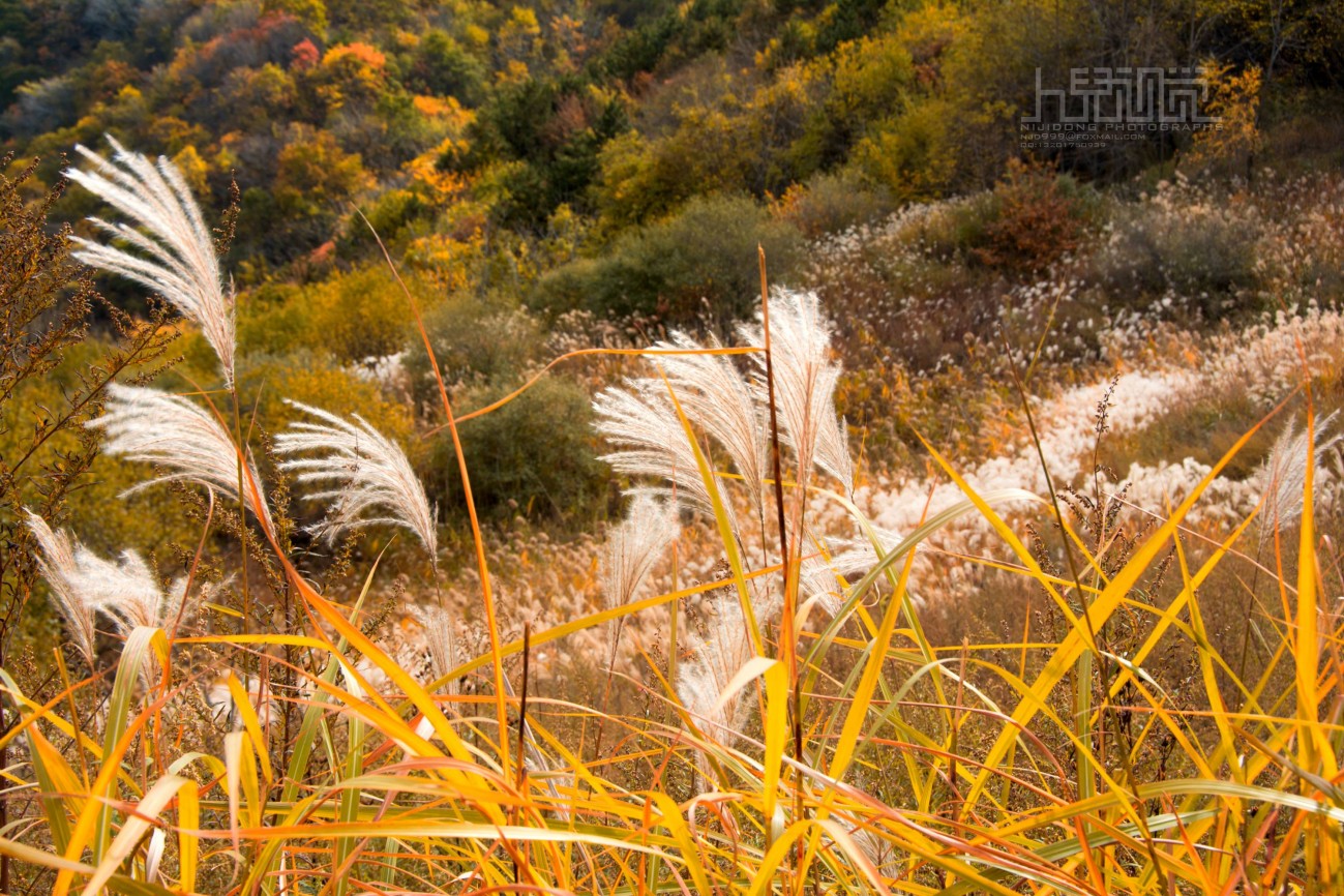 石贬峪天池寺 (1).jpg