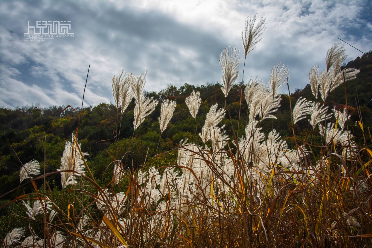 石贬峪天池寺 (4).jpg