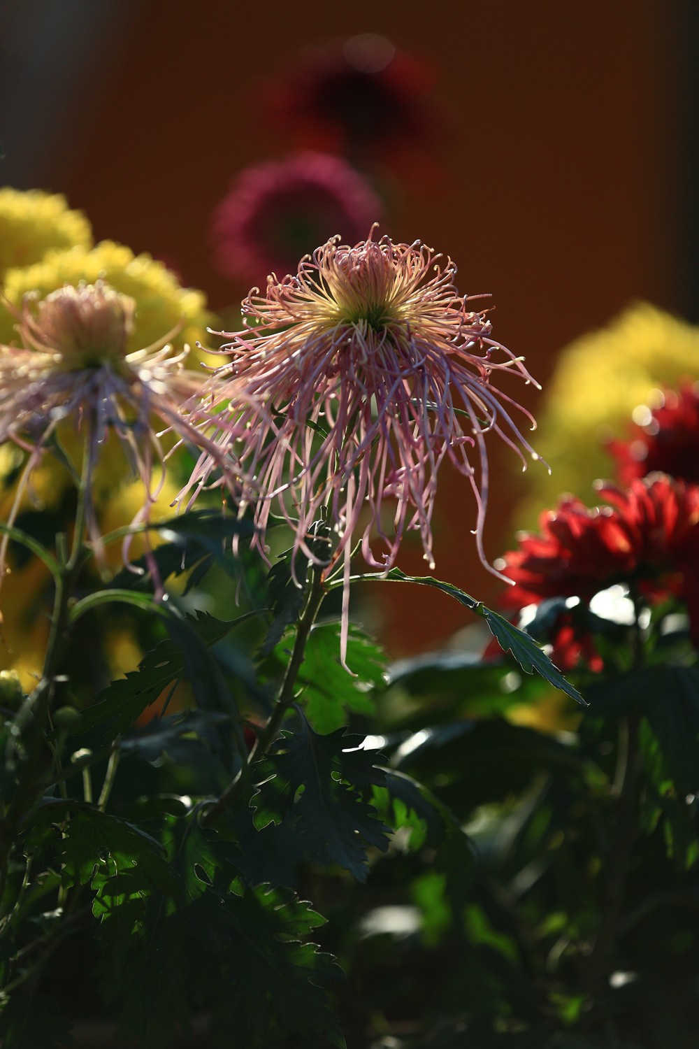 5D3_0481.JPG