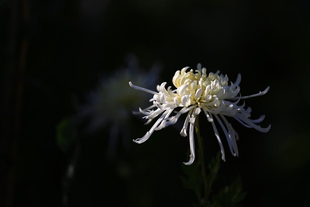 5D3_0491.JPG