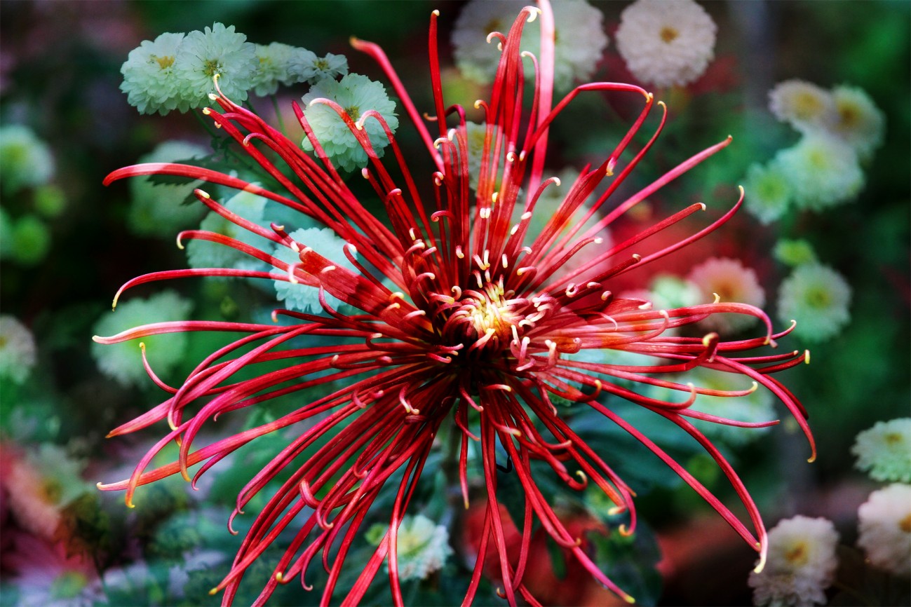 二次曝光（模拟）