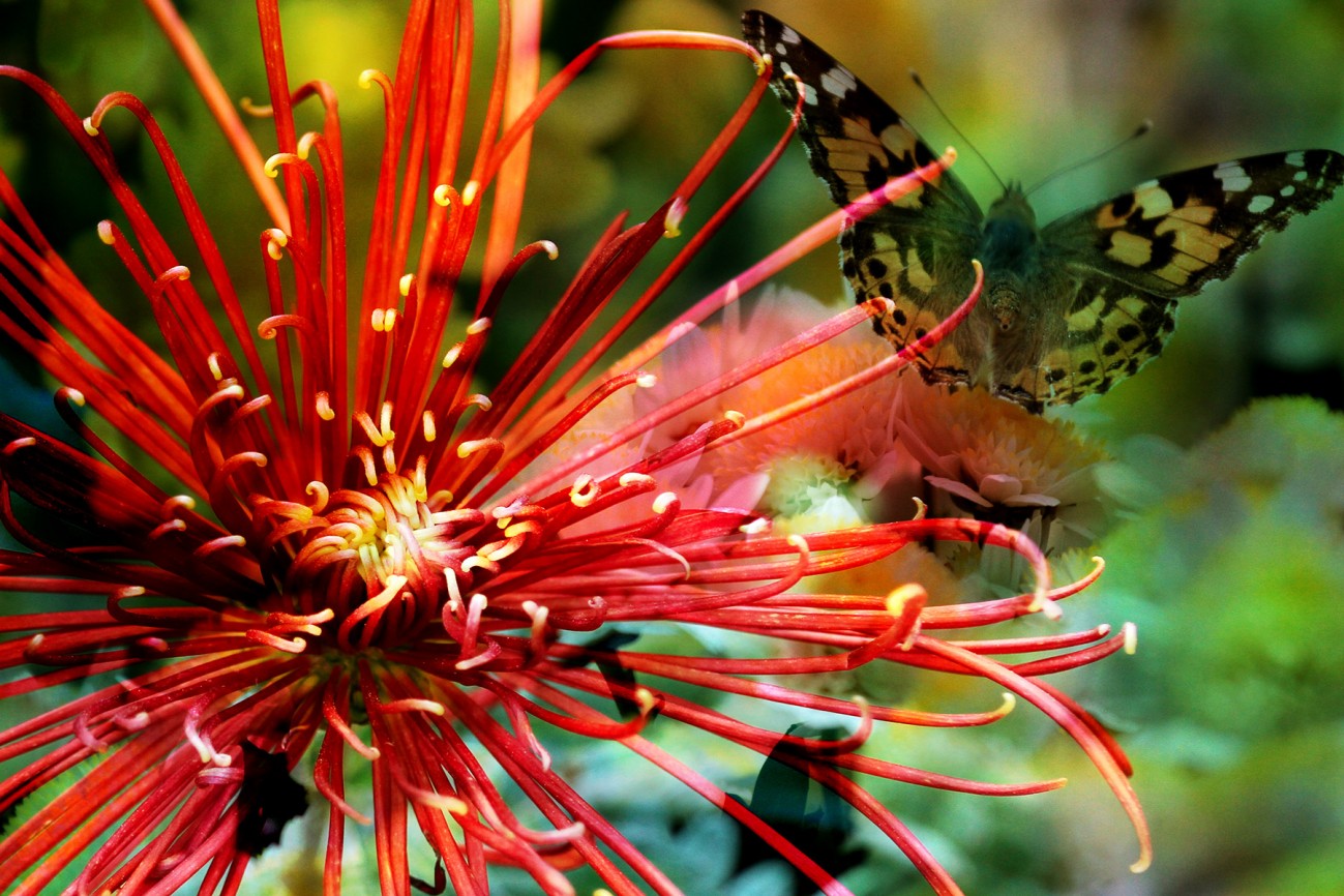 二次曝光（模拟）