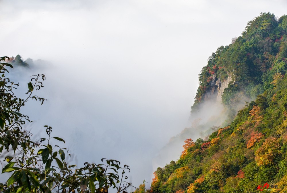 光雾山-云海 (8).jpg