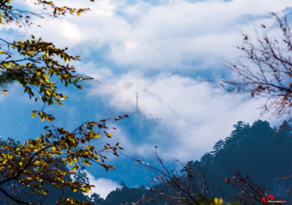 光雾山-云海 (22).jpg