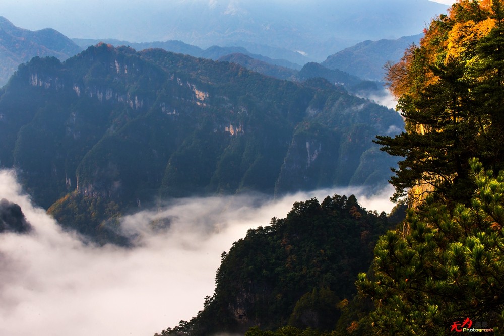 光雾山-云海 (36).jpg