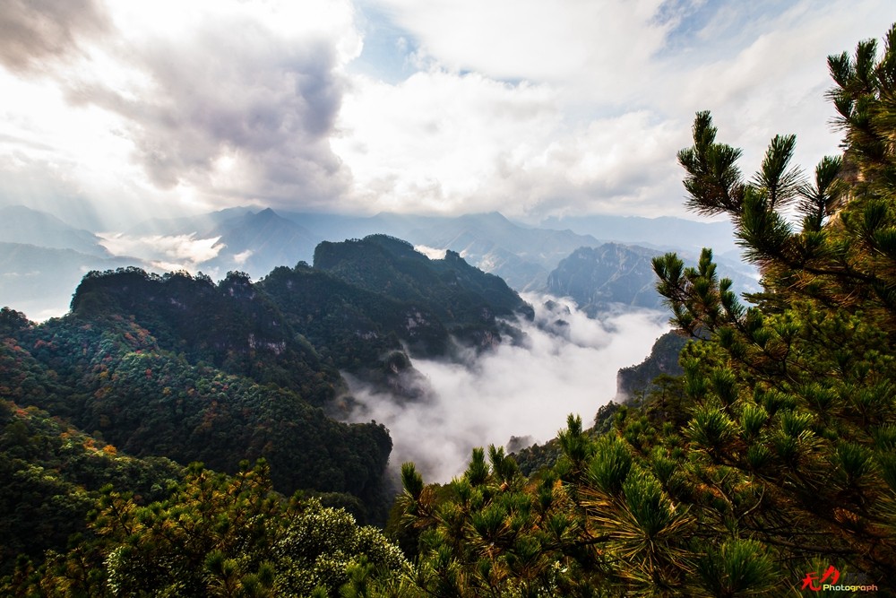 光雾山-云海 (41).jpg