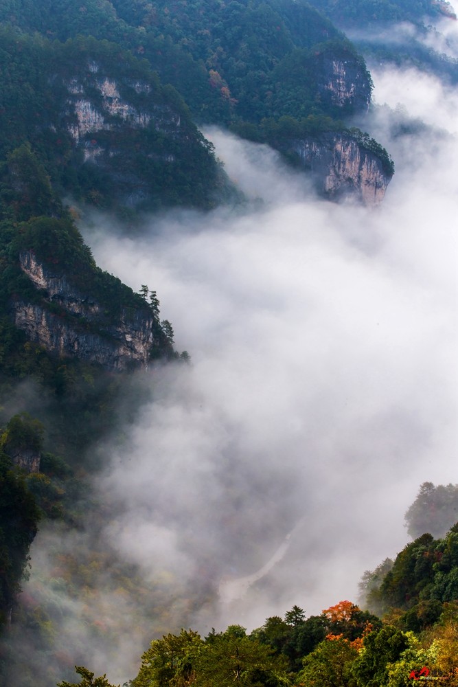 光雾山-云海 (40).jpg