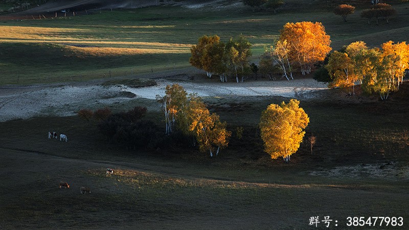 坝上-秋季摆拍 (2).jpg