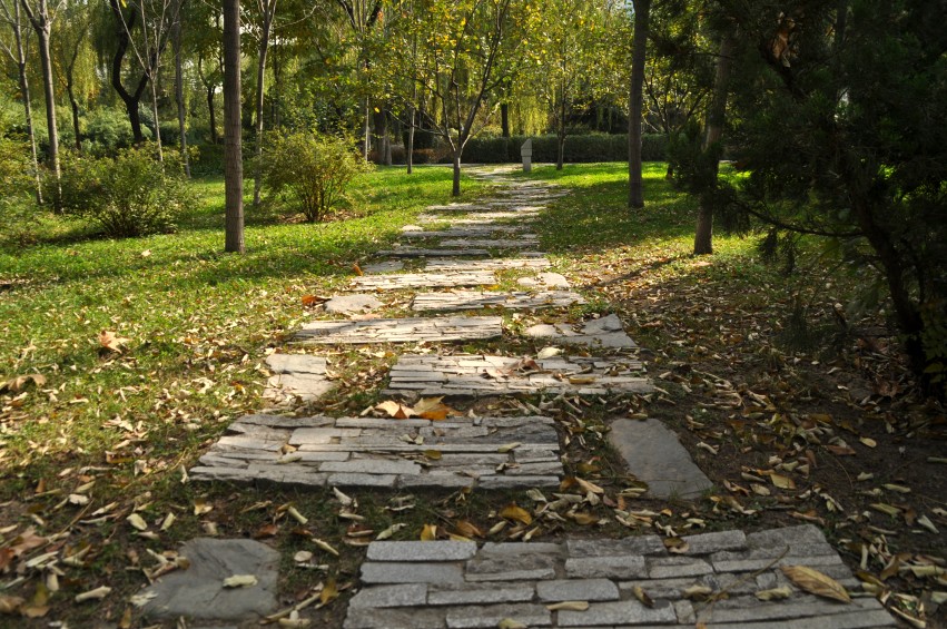 DSC_0037_conew1.jpg