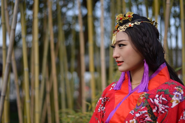 古风雅韵靓丽模特