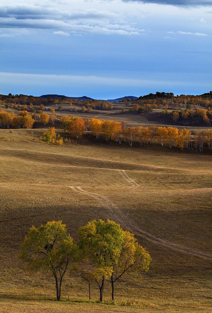 在忆坝上秋色 (3).jpg