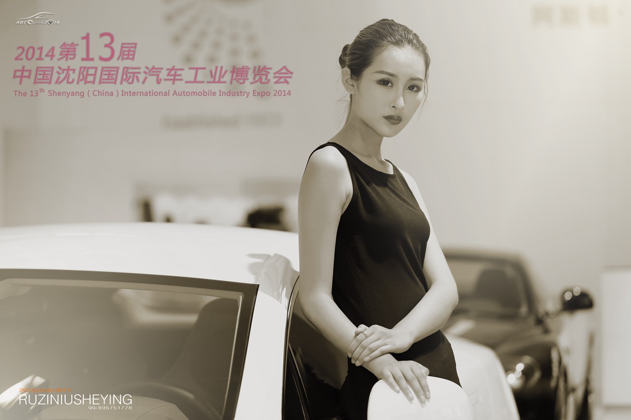 2014夏车展06.jpg