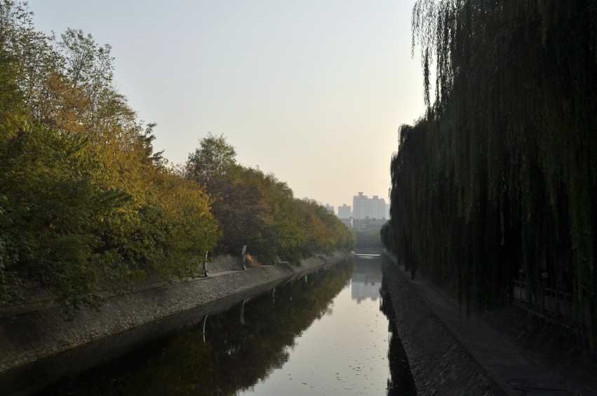 DSC_0086_conew1.jpg