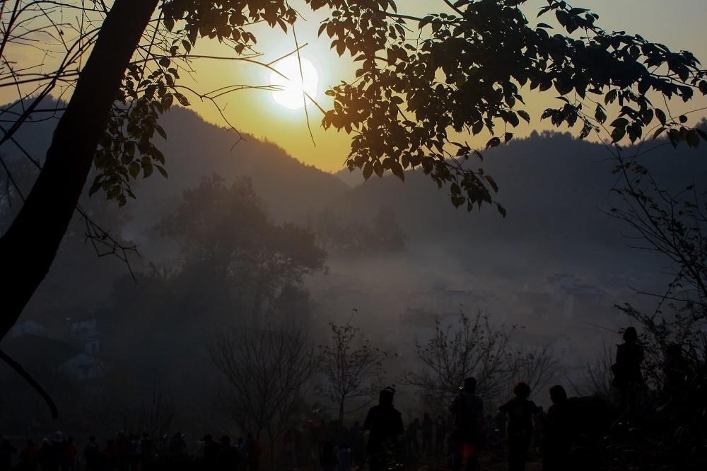 IMG_3020-编辑-编辑 拷贝.jpg