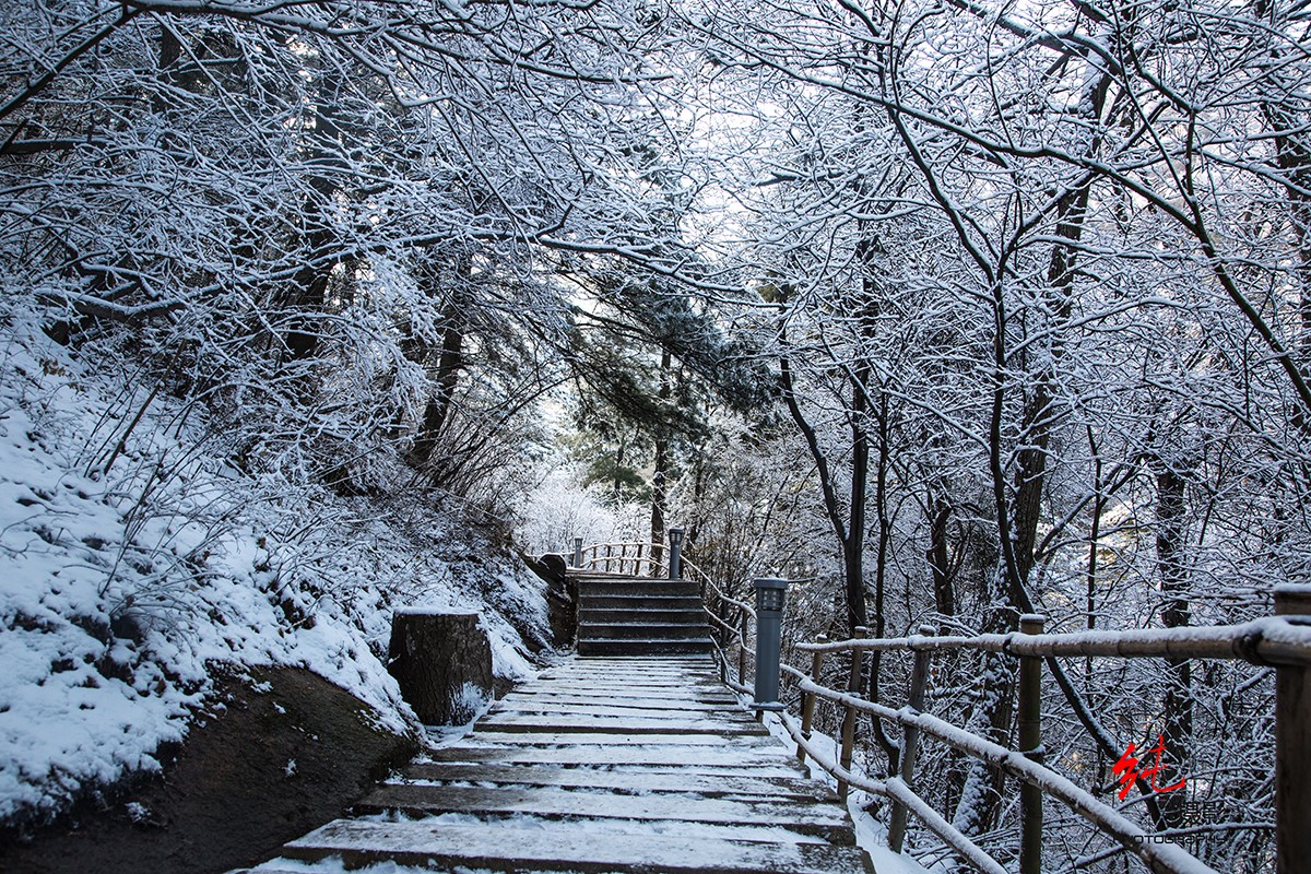 IMG_5291副本.jpg