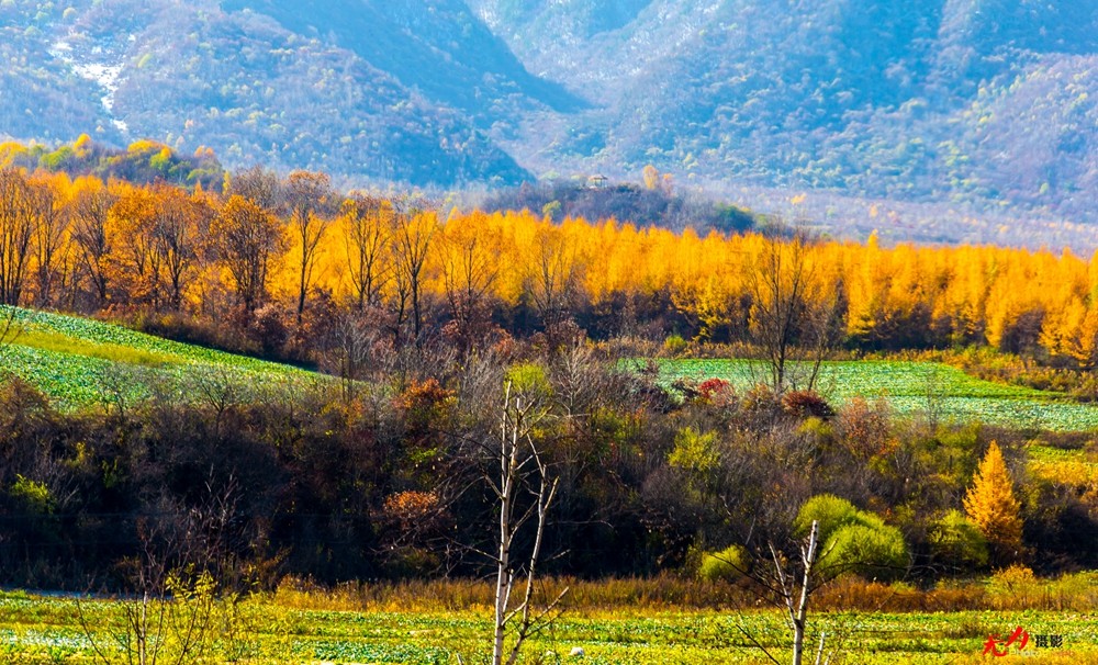 慢城太白 (15).jpg