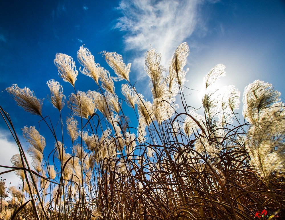 慢城太白 (51).jpg