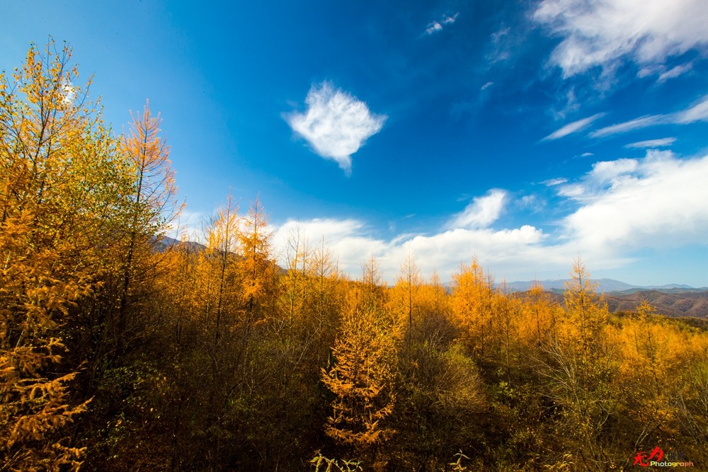 慢城太白 (50).jpg