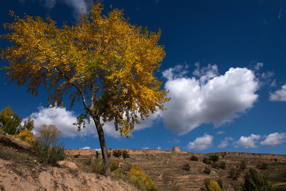 _DSC3305.jpg