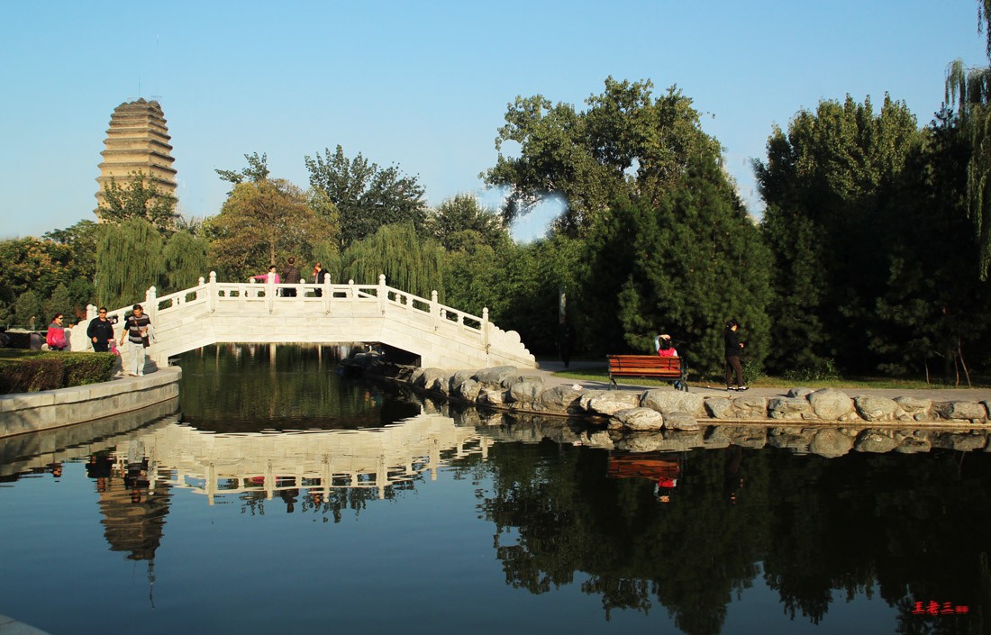 金秋小雁塔 023--1.jpg