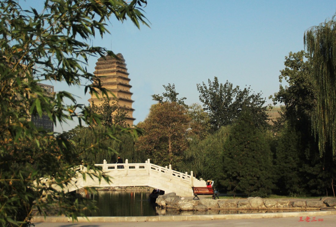 金秋小雁塔 033--1.jpg