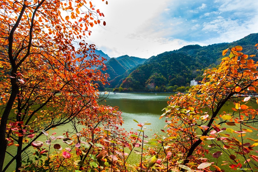 秋日翠华山 (19).jpg