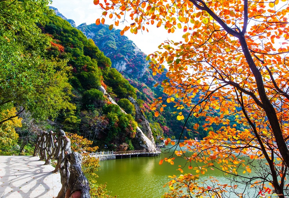 秋日翠华山 (22).jpg