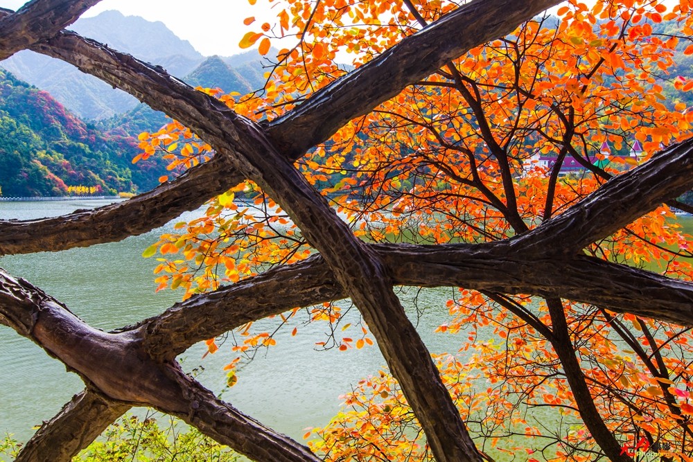 秋日翠华山 (26).jpg