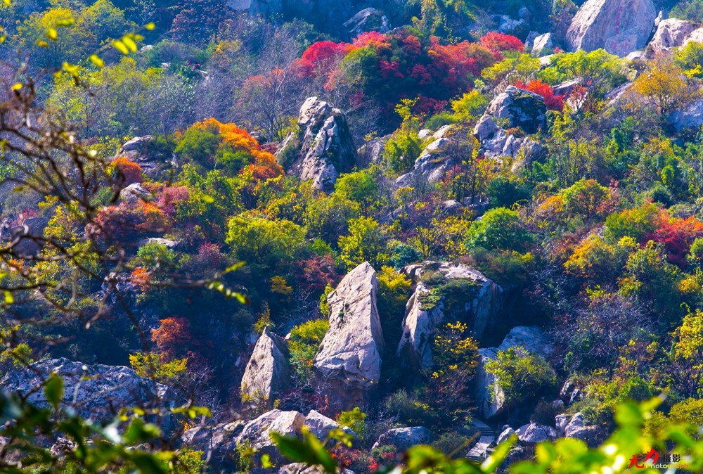 秋日翠华山 (60).jpg