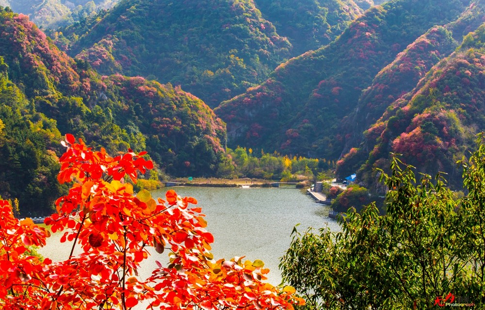 秋日翠华山 (66).jpg