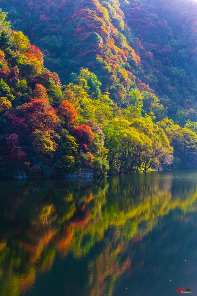 秋日翠华山 (80).jpg