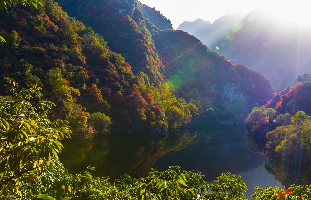 秋日翠华山 (89).jpg