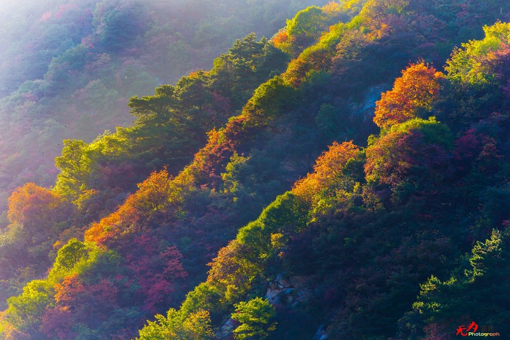 秋日翠华山 (103).jpg