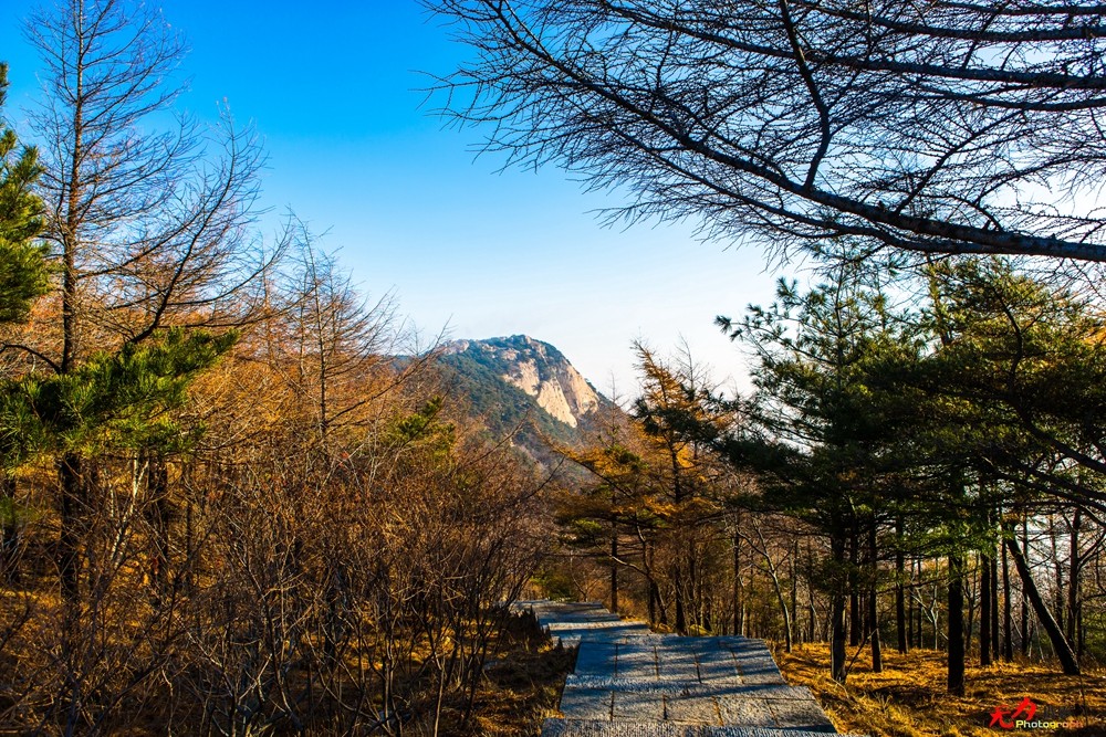 山东风光 (76).jpg