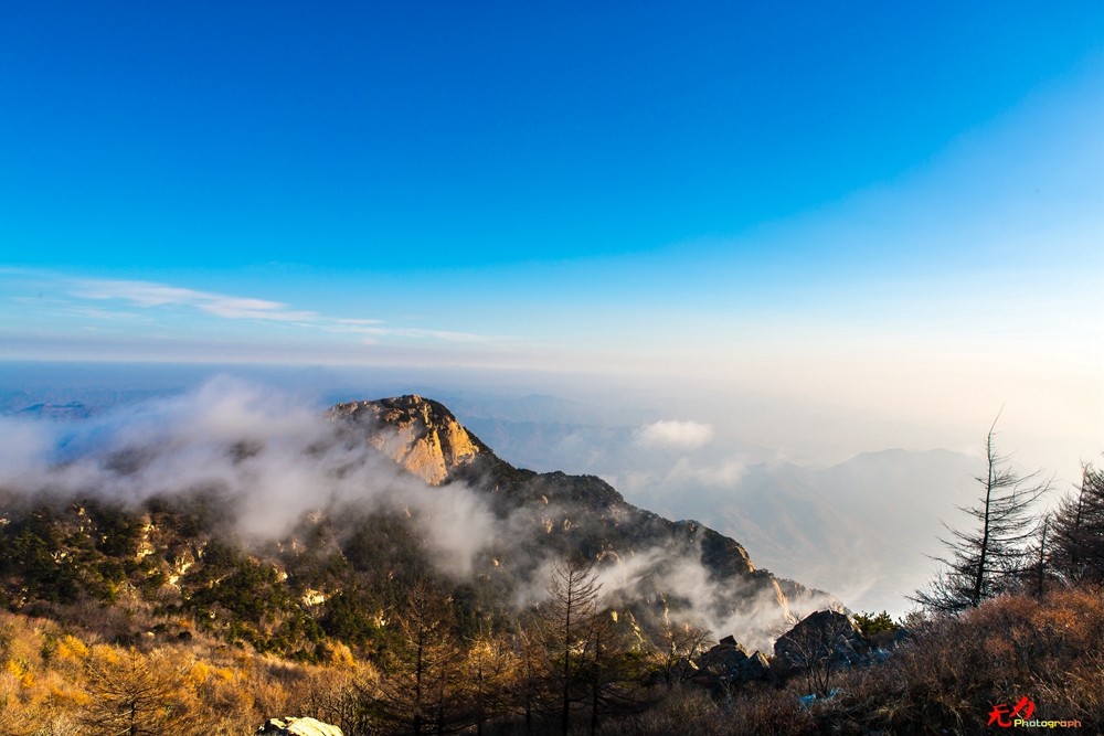 山东风光 (81).jpg