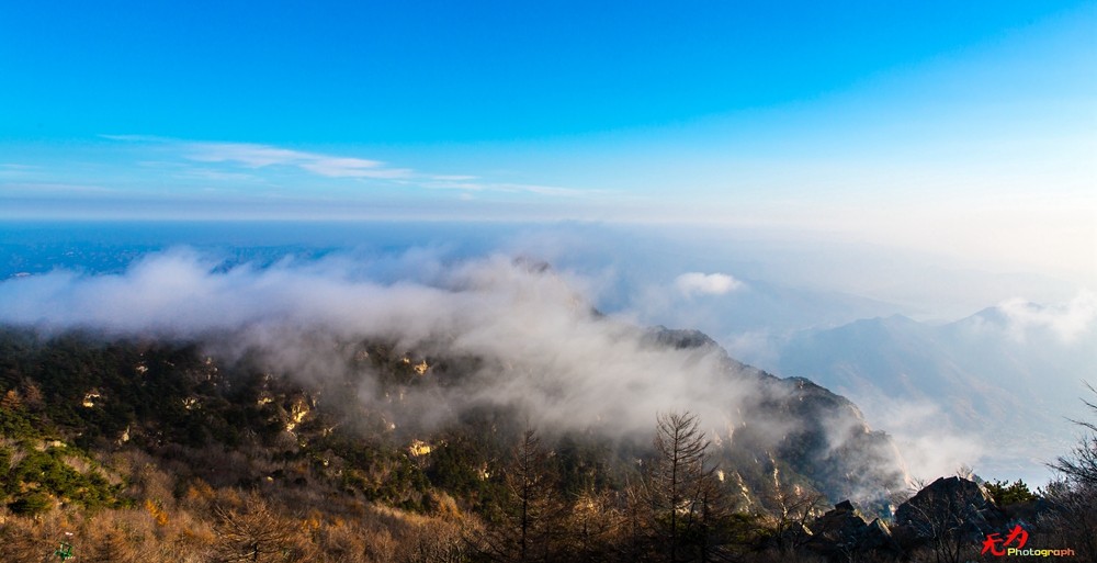 山东风光 (80).jpg