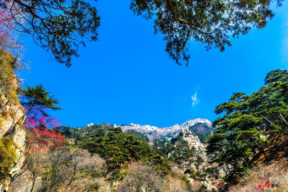 山东风光 (118).jpg