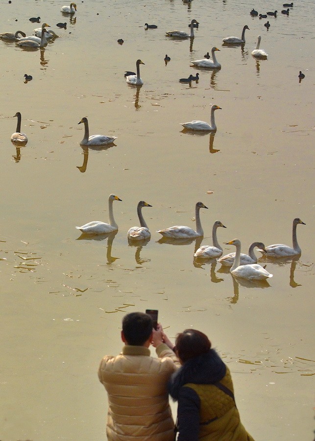DSC_8984.JPG