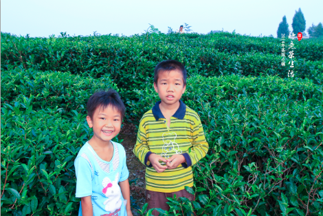 屏幕快照 2014-11-22 下午7.04.11.png