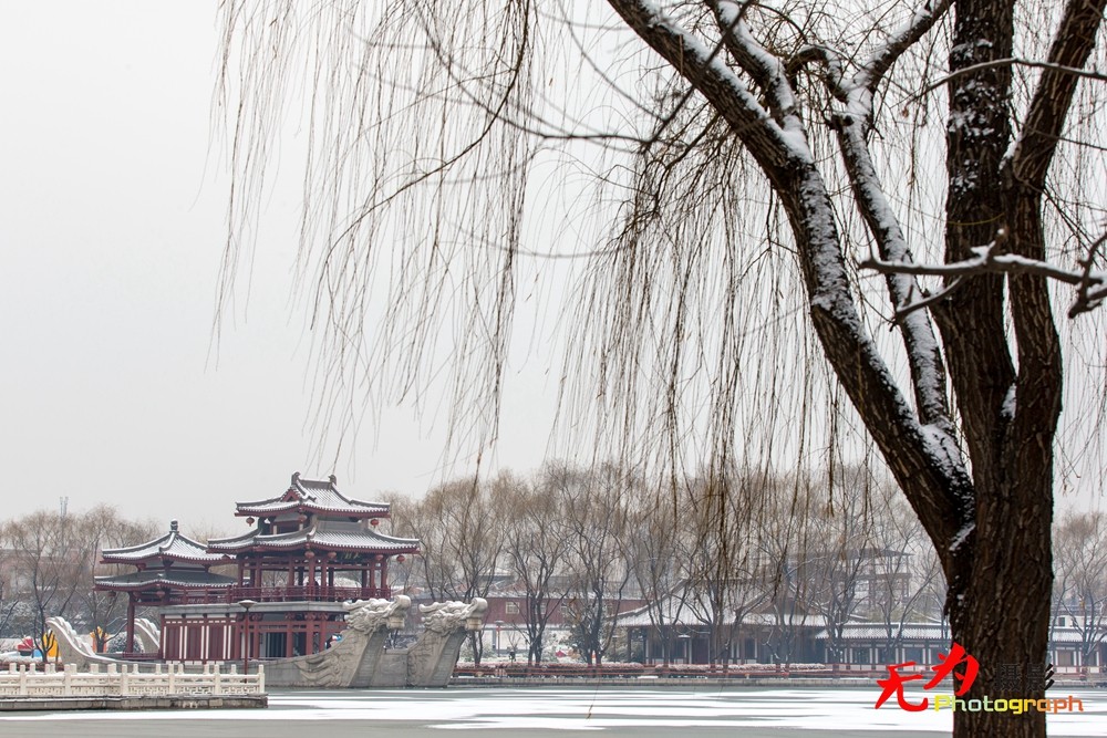 2015年西安第一场雪 (44).jpg