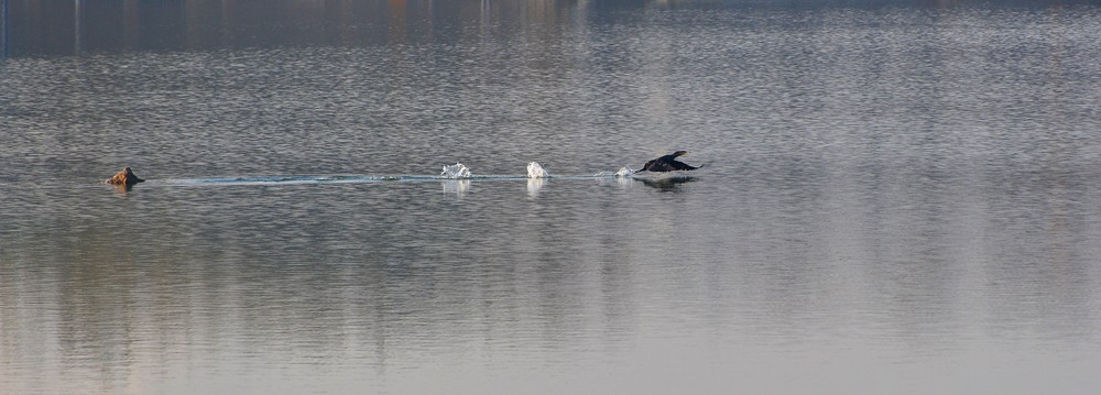 DSC_7538.JPG